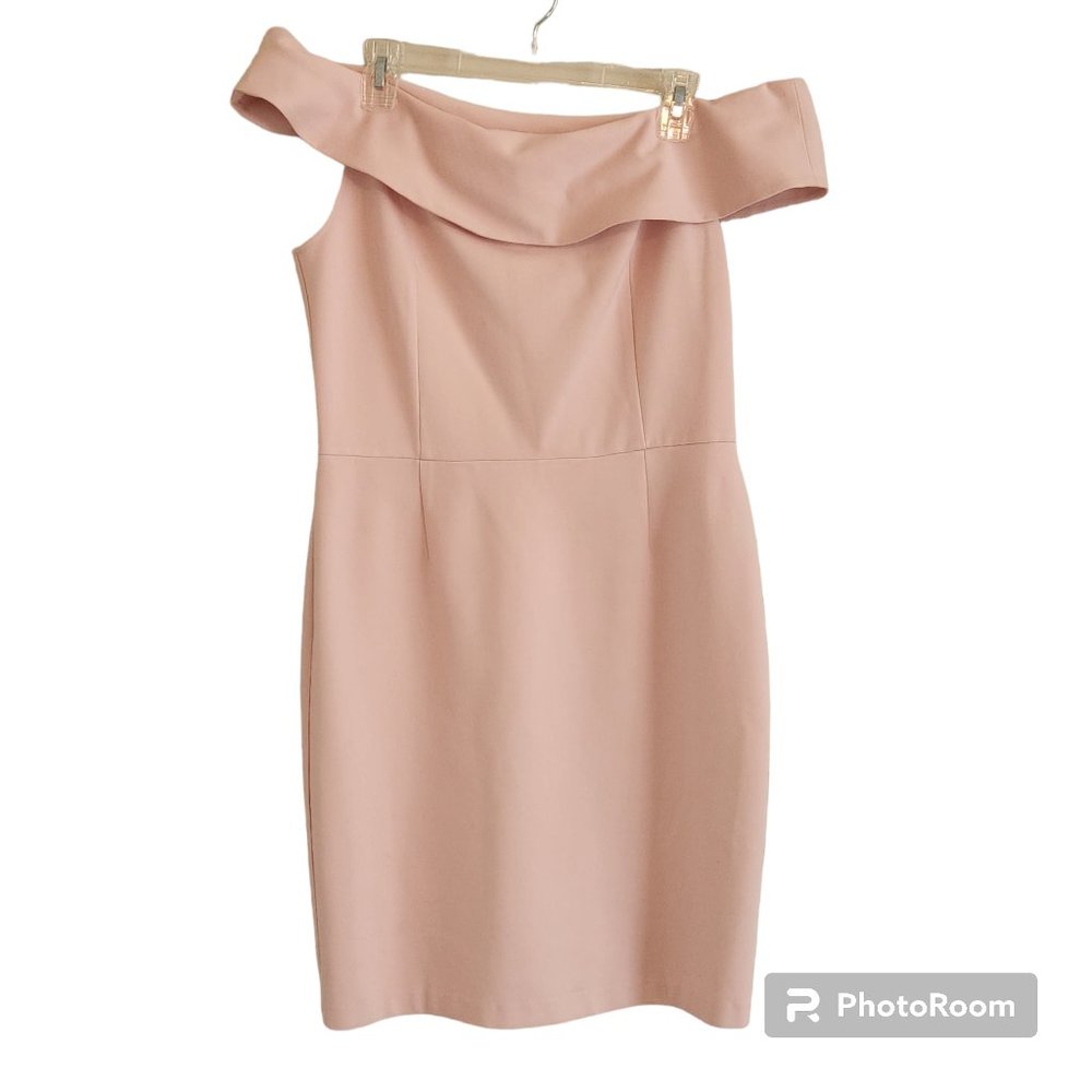 Alexis Admor Off the Shoulder Siloutte Cocktail Blush Dress Size M